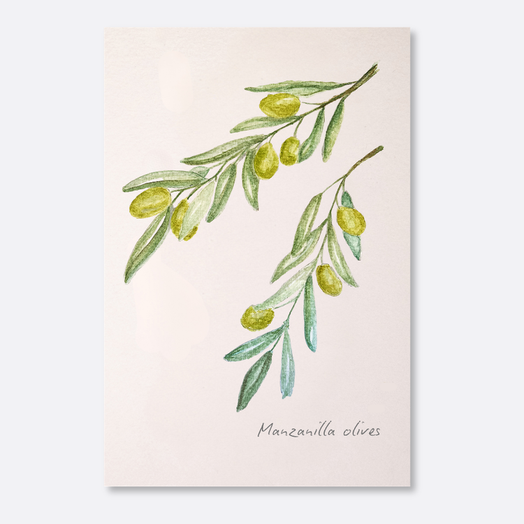 Olive Print
