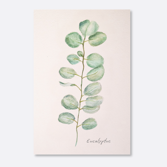 Eucalyptus Print