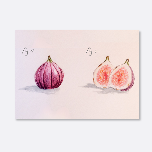 Illustration of a whole fig and a sliced fig on a gradient background