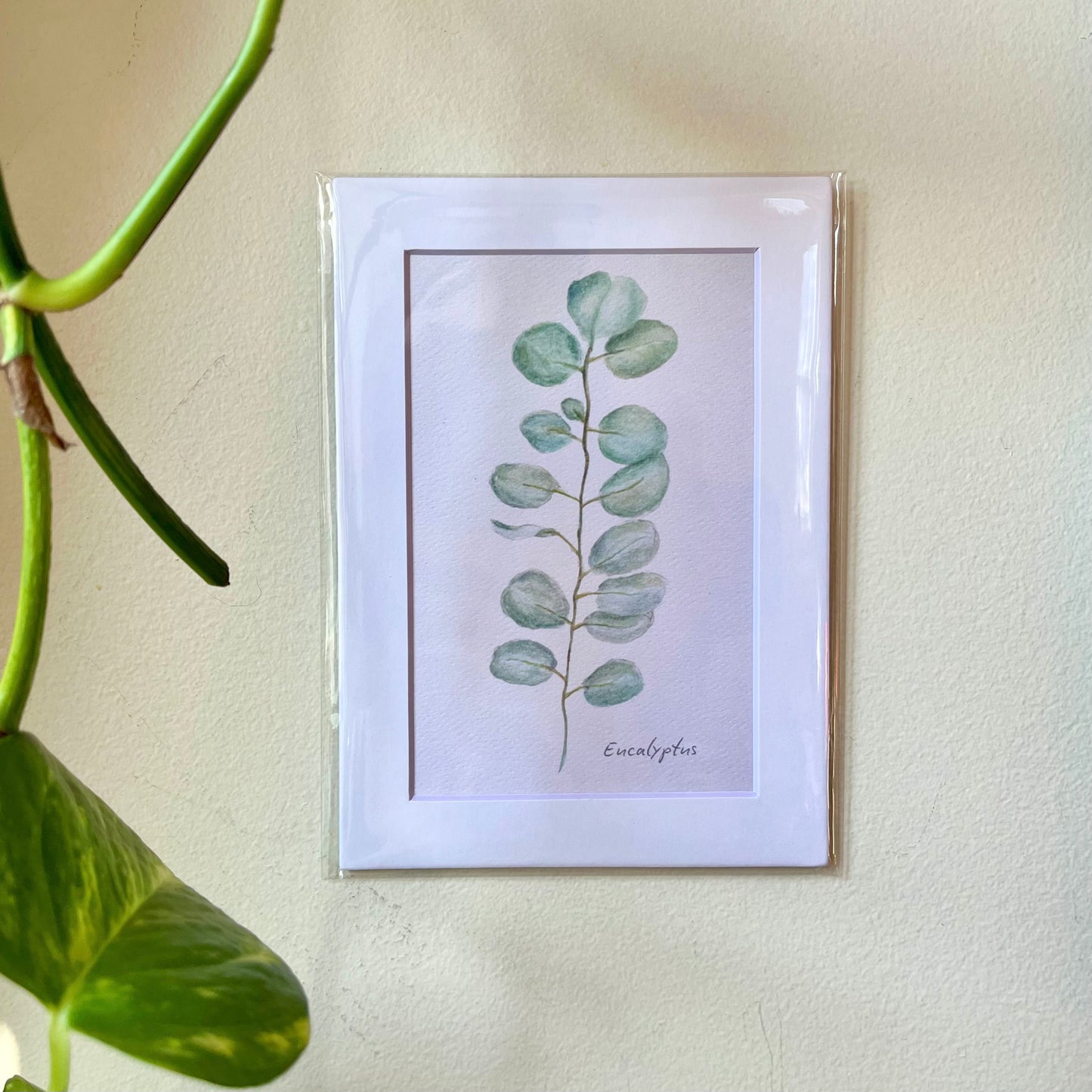 Eucalyptus Print