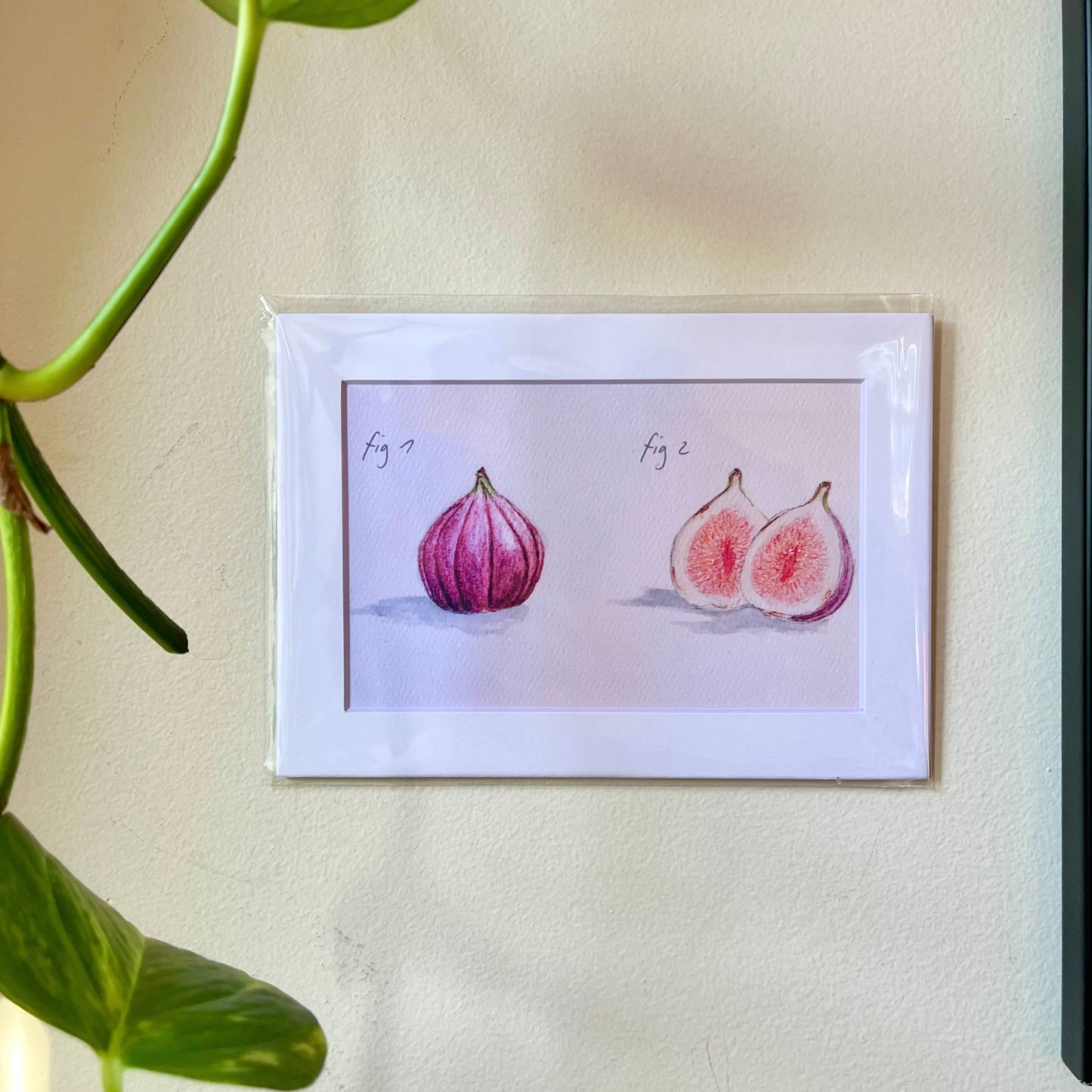 Fig Print