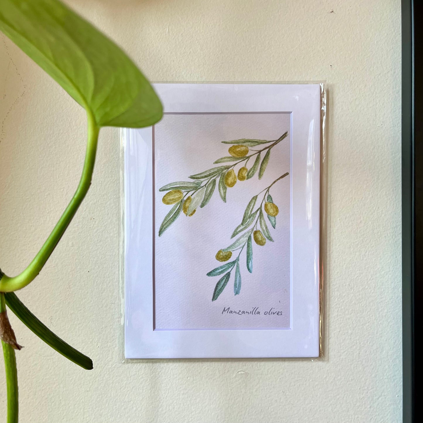 Olive Print