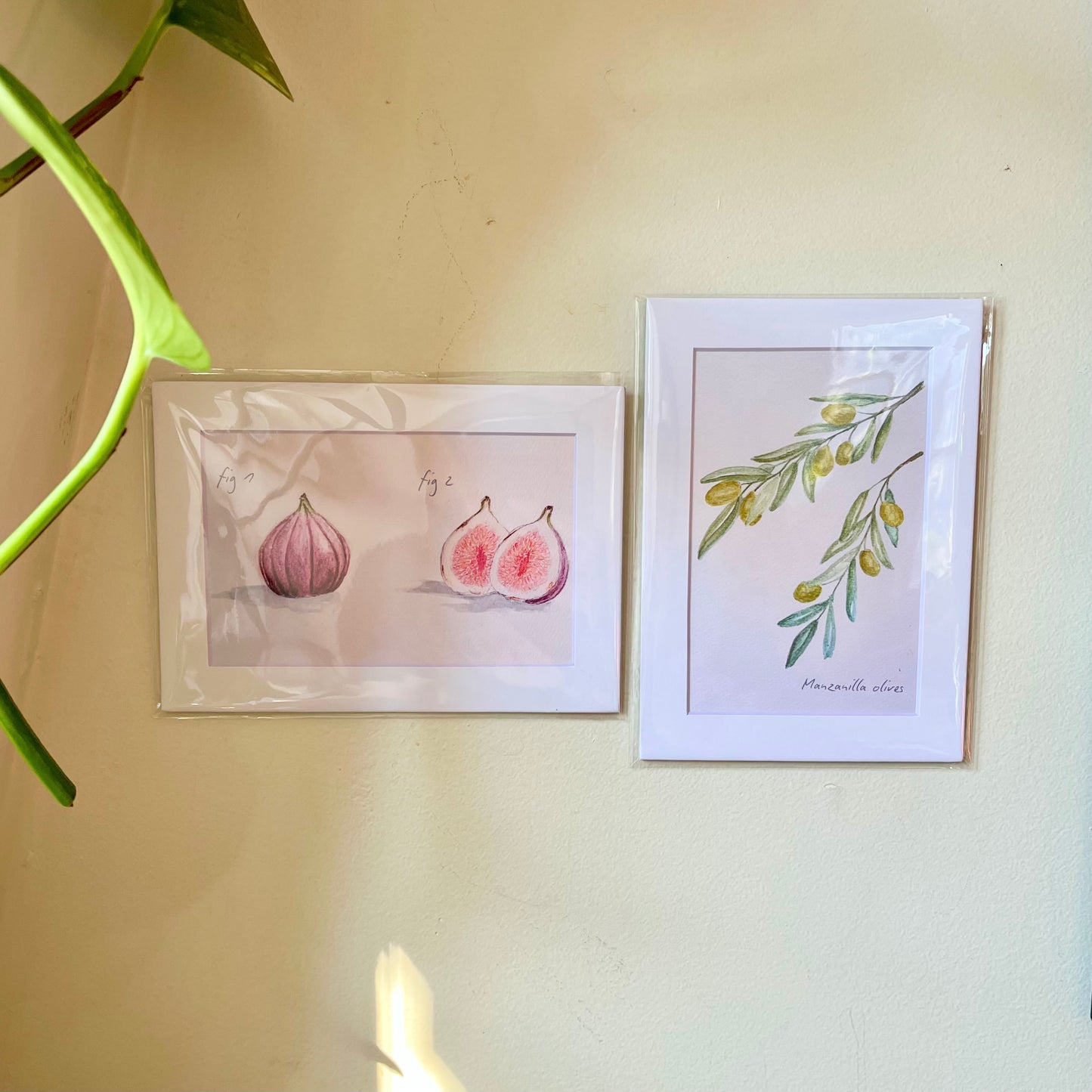 Fig Print